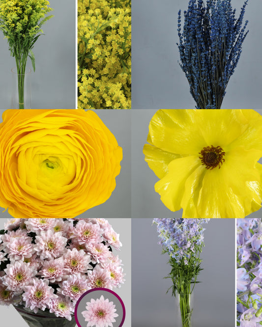 Fleurs événementielles – Mellow Yellow (Aix)
