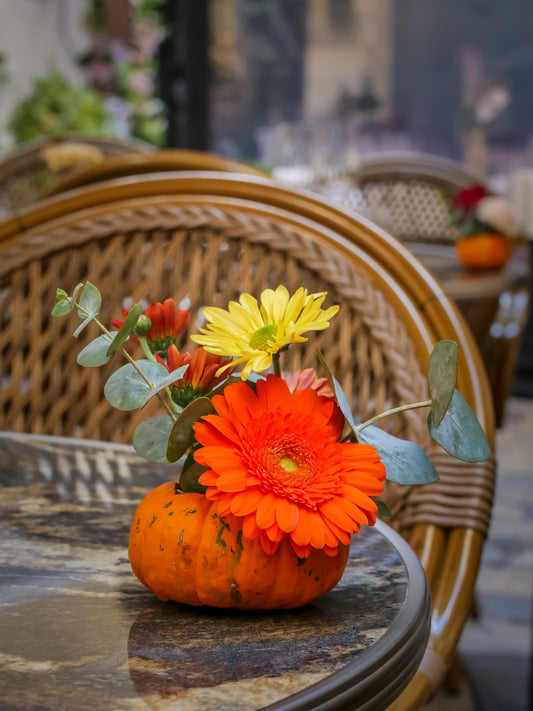 Pumpkin Joy - mini